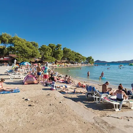 Portorusa Vi *